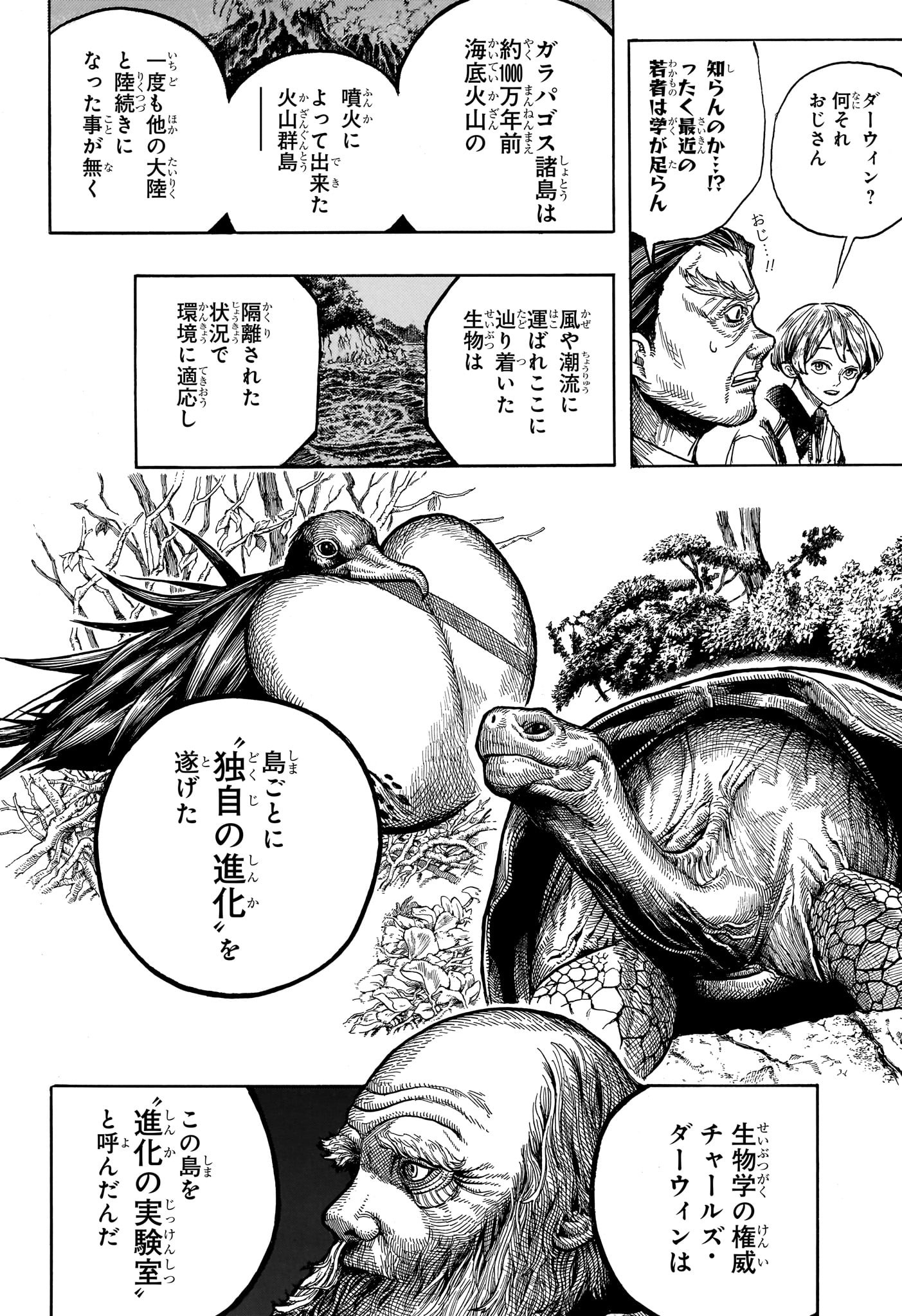 ディアーアネモネ 第1話 - Page 13