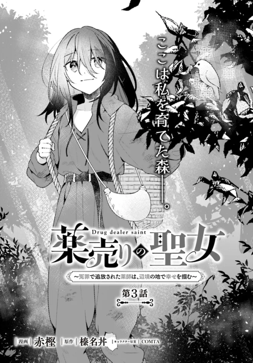 薬売りの聖女 ～冤罪で追放された薬師は、辺境の地で幸せを掴む～ 第3.1話 - Page 1