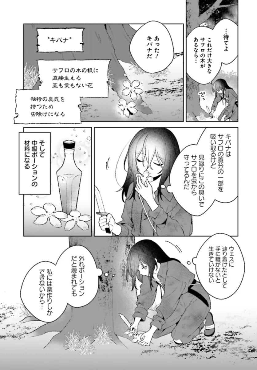 薬売りの聖女 ～冤罪で追放された薬師は、辺境の地で幸せを掴む～ 第3.1話 - Page 9